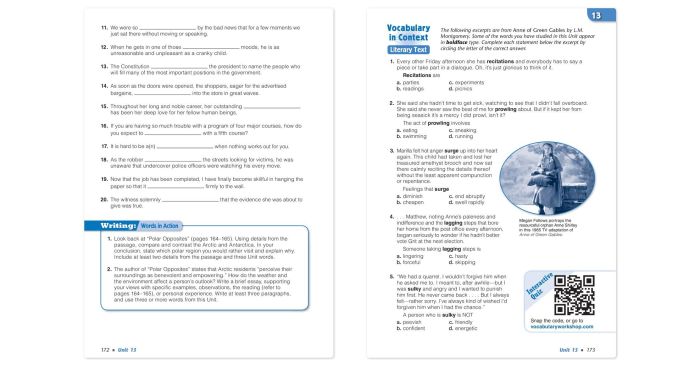 Vocabulary workshop unit 13 level c