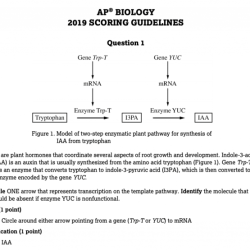 Unit 5 progress check frq ap biology