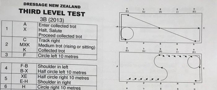 Dressage test training level test 1